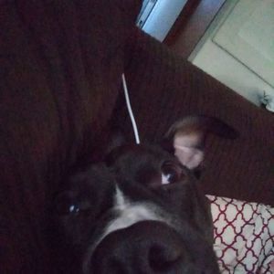 Meet your Posher, Javen